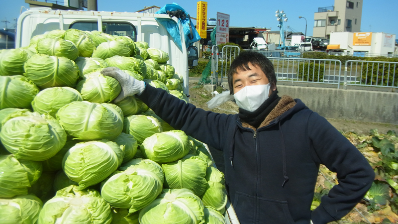 大阪・泉佐野で農業体験